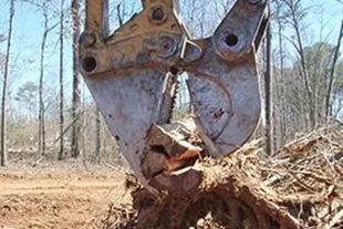 La Bounty Wood Shears